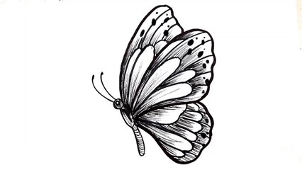 How to Draw a Beautiful Butterfly _ Easy Butterfly Drawing