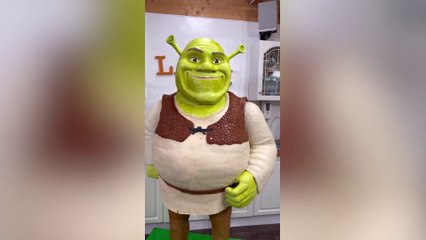 I baked a life-size Shrek cake - I needed ladders to finish it