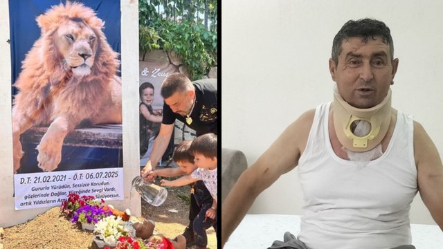 Aslanın saldırısına uğrayıp yaralanan Süleyman Kır: Aslanı öldürmeselerdi; ben ve aslan suçsuzduk