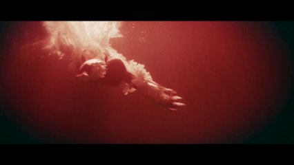 Tiburón blanco: La bestia del mar Tráiler