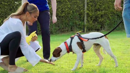 Alesha Dixon meets Roy the rescue dog