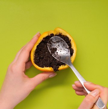 Conseils FACILES pour les jardiniers débutants