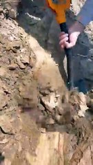 Real treasure moment 🥵🔥 #treasure #founded