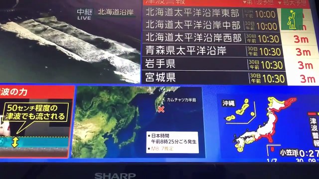 Japón activa equipo especial ante alerta de tsunami en costas del Pacífico