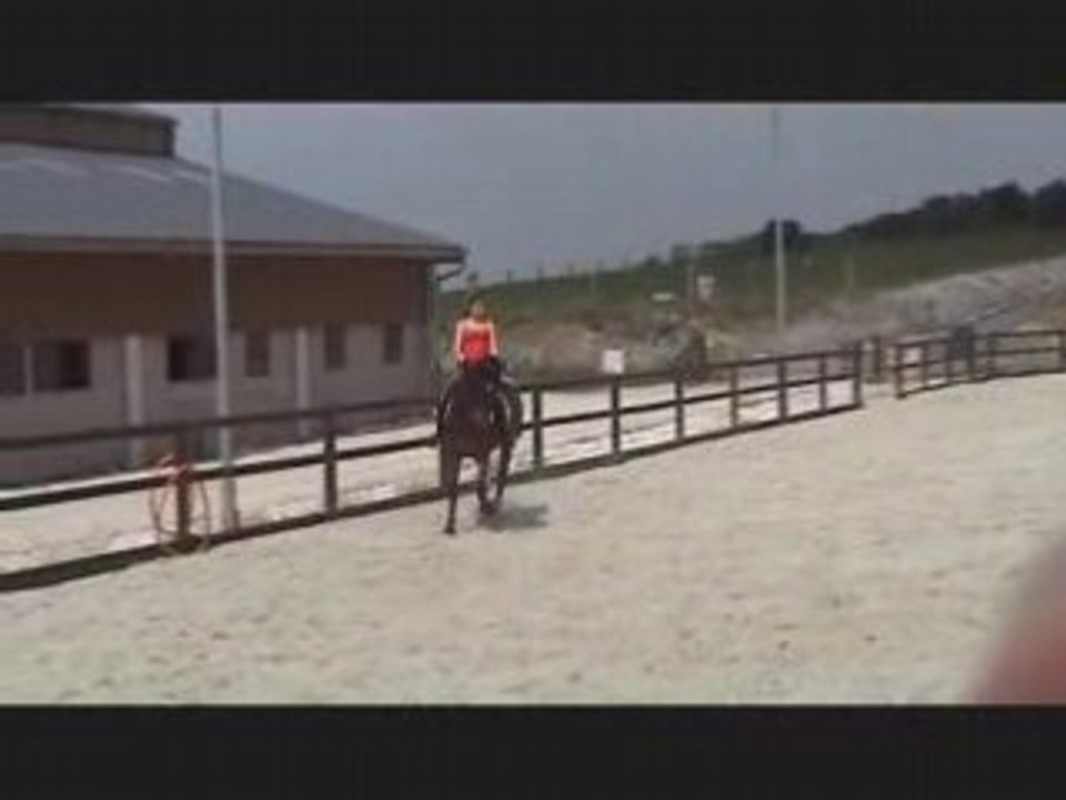 Travail 14 mai - trot à gauche