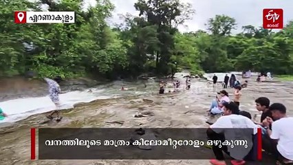 ഇടുക്കിയ്ക്ക്‌ നഷ്‌ടമായ വനസുന്ദരി, ഇന്ന് എറണാകുളത്തിൻ്റെ വശ്യമോഹിനി; മണ്‍സൂണിൽ തിരക്കേറി വടാട്ടുപാറ വെള്ളച്ചാട്ടം