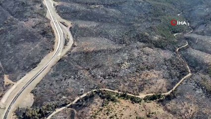 Bursa'da 5 gün sonra kontrol altına alınan yangından geriye yürek burkan görüntüler kaldı