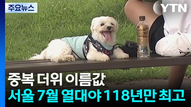 [날씨] '중복 더위' 이름값...서울 7월 열대야 '118년 만에 최고' / YTN
