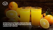 Tarifaço: estimativas da Citrusbr apontam prejuízo de mais de R$4 bi ao setor de suco de laranja