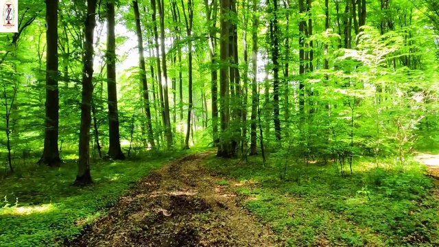 Mere Yahowa Jaisa Khuda Koi Nahi | Irfan Zameer Official | New Worship Song 2025