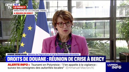 Droits de douane de 15% pour l'UE: Annie Genevard, ministre de l'Agriculture, espère que ce montant "restera un plafond et que ça n'ira pas au-delà"