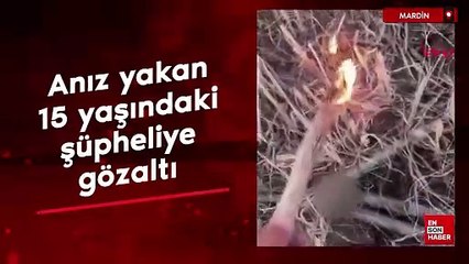Mardin'de anız yakıp görüntüleri paylaşan 15 yaşındaki şüpheliye gözaltı