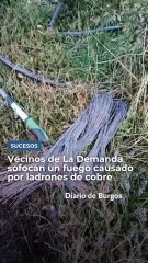 Vecinos de la Sierra de la Demanda burgalesa sofocan un fuego causado por ladrones de cobre