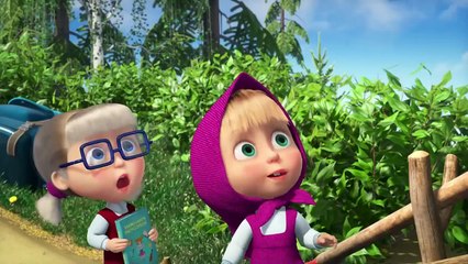 Masha and the Bear 2025 👧💖 Girl Moments ✨🎀 Best episodes cartoon collection 🎬