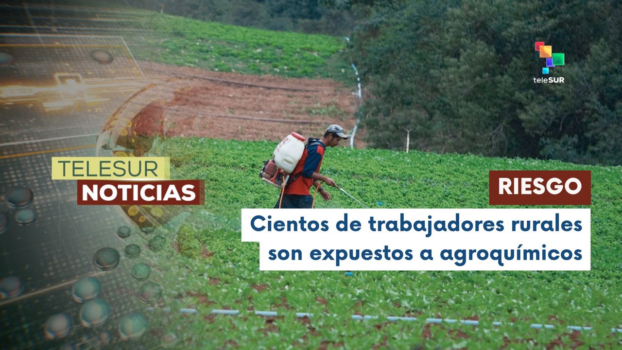 En Uruguay los trabajadores rurales denuncian falta de seguridad laboral