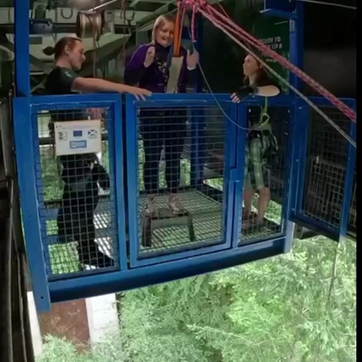 Bungee jump