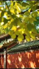 Into The Dragon's Rage