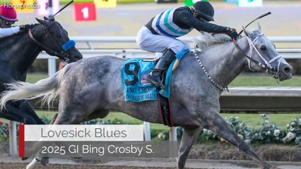 No Lovesick Blues Here: Fastest Horse of the Week