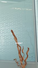 Découvrez le moment parfait pour sa demande en mariage 💍