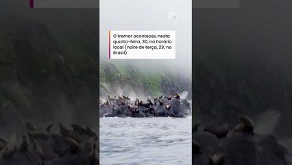 Leões-marinhos pulam no mar enquanto penhasco desaba durante terremoto na Rússia #shorts