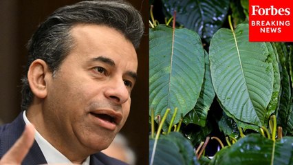 FDA Commissioner Marty Makary Asked Point Blank If Kratom Is Safe To Use