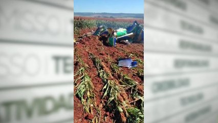 Avião da Esquadrilha da Fumaça cai após colisão no ar