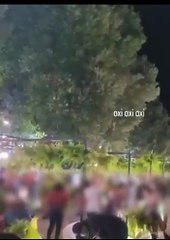 Festival de música na Bahia tem 500 plantas furtadas