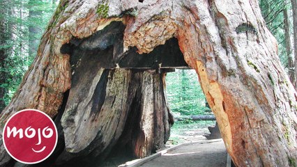 Top 20 Natural Wonders That Don't Exist Anymore