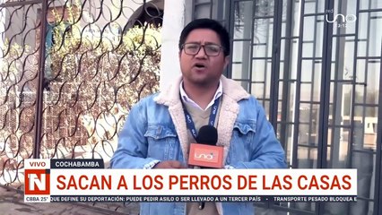 ¡Cuidado con los roba perros! ‘Sky’ y ‘Bender’ fueron sustraídos de sus casas