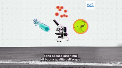 La classifica dei luoghi di balneazione più puliti d'Europa