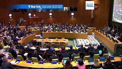 Gaza, l'Unione europea e la Lega araba ribadiscono il sostegno alla soluzione dei due Stati