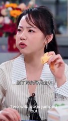 · Forget Me Not My Wild Girl Chinese Drama - Full HD [Eng Sub]