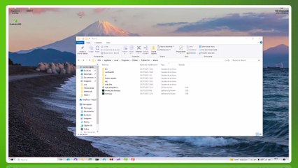 BINDER|CRYPTER FUDD - PY