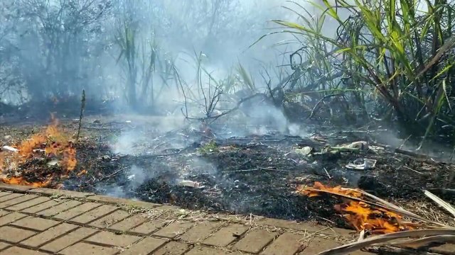 Mais um grande incêndio ambiental mobiliza equipes do Corpo de Bombeiros