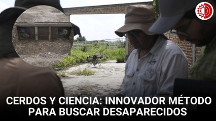 Ciencia, tecnología y cerdos: México experimenta nuevas formas de buscar desaparecidos