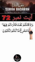 Al-Quran - Surah 2 - Al-Baqara - Ayah 72 | daily islamic tv