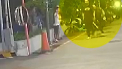 흉기 들고 배회하던 30대...테이저건 맞고 체포 / YTN