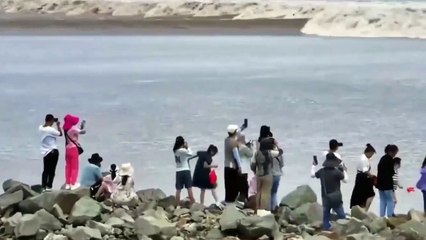 Ils voulaient faire une photo de la marée montante... raté