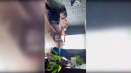 Terremoto de magnitud 8,8 en Kamchatka, Rusia, desata alertas de tsunami en todo el Pacífico