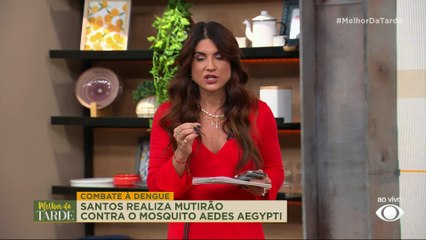 Santos realiza mutirão contra o aedes aegypti | Melhor da Tarde