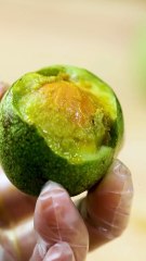 A satisfying video you won't regret watching!