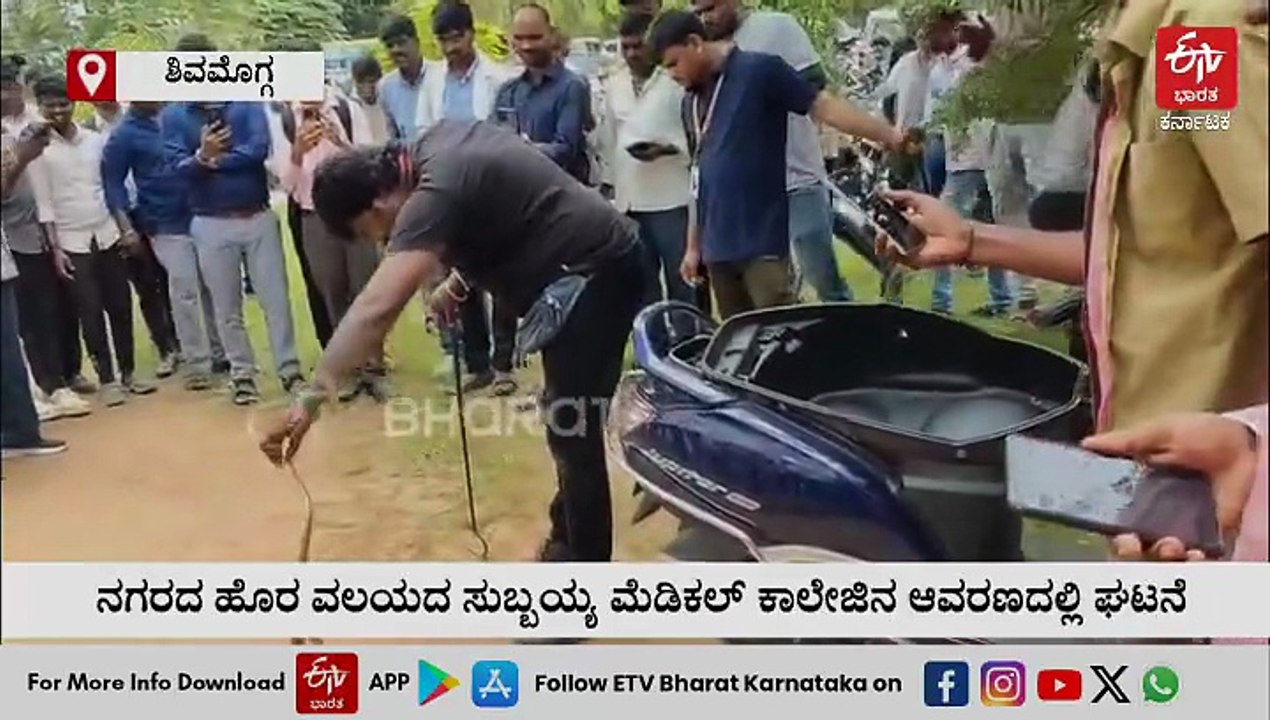 ಶಿವಮೊಗ್ಗ : ಸ್ಕೂಟರ್​​ನಲ್ಲಿ‌ ಸೇರಿಕೊಂಡಿದ್ದ ನಾಗರಹಾವು ರಕ್ಷಿಸಿದ ಸ್ನೇಕ್ ಕಿರಣ್