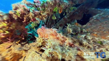 mare dentro puntata 4 dell'1 agosto 2025