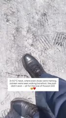 When love takes over, even 50°C heat can't stop you. It's a journey of the heart to Hussain (a.s)