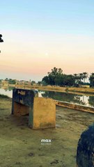 Village Side ❤ #maxrecords #villagelife #larkana #sindh #pakistan