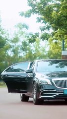 CEO falling love with his ex-wife