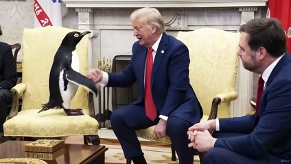 M-1cDIxVt8QBREAKING Penguin prime minister of McDonald Islands reach a tariffs agreement with Trump
