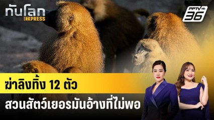 สวนสัตว์เยอรมันฆ่าทิ้งลิงบาบูน 12 ตัว หลังที่ไม่พอ | ทันโลก EXPRESS | 31 ก.ค. 68