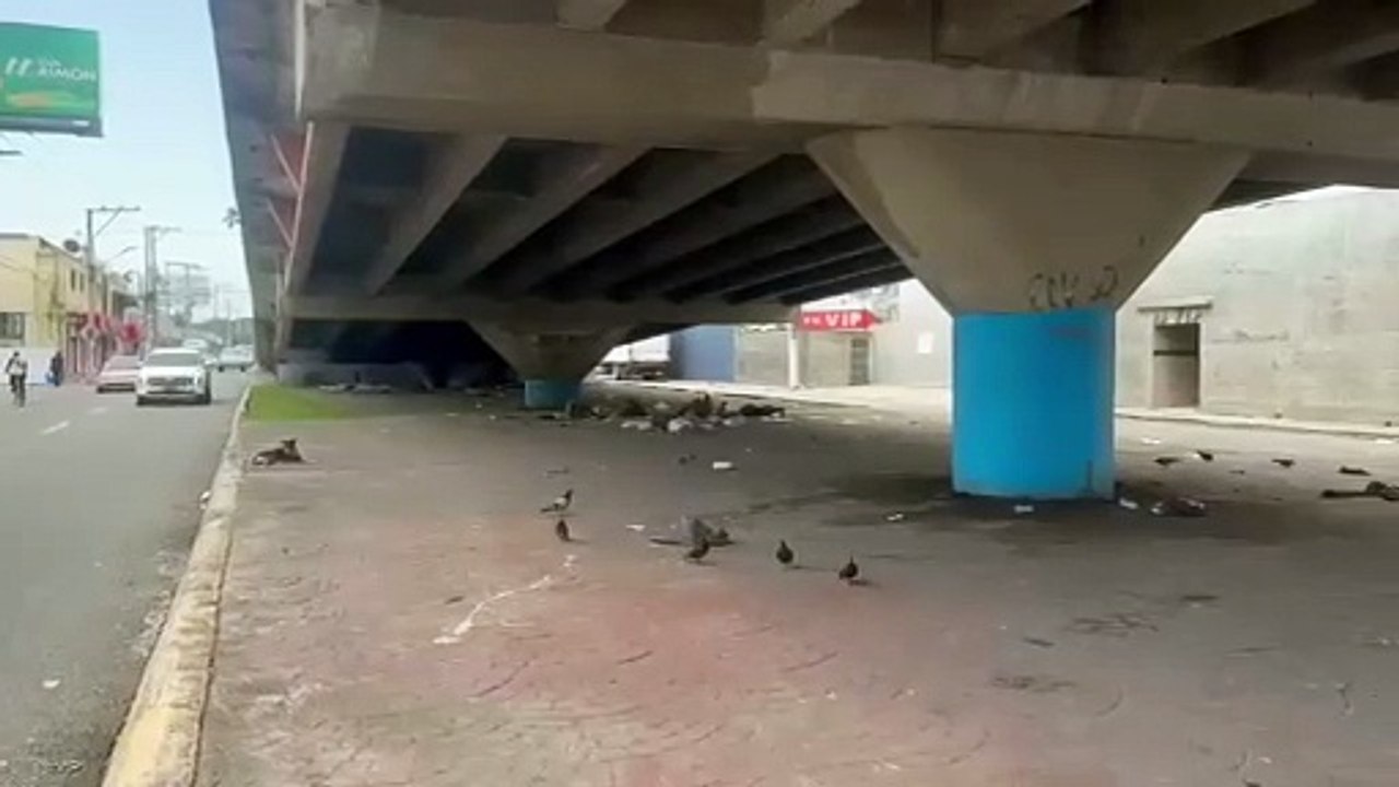 VIDEO INDIGENTES 1