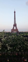 Eiffel Tower World Icon and Quintessential Symbol of Paris and of France  #parisvibes #france  (11)